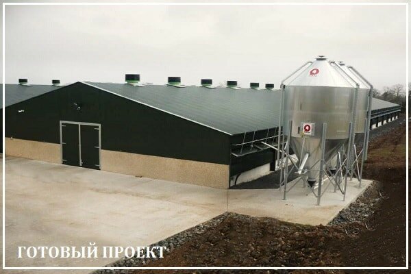 Этапы возведения птицефабрики от завода ВелесТент-нрв